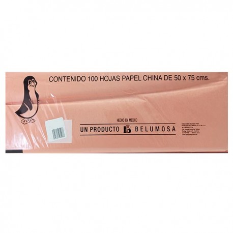 PAPEL CHINA SALMON 09 /10